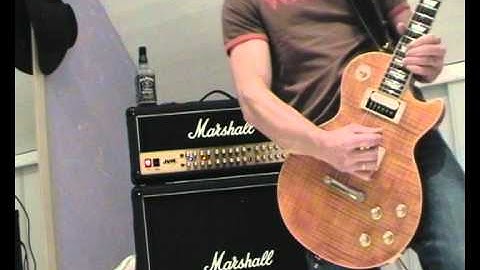Gibson les paul Standard Slash Appetite For Destruction