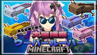 【minecraft】ウーパールーパー大量に捕獲していく！！【にじさんじ/桜凛月】