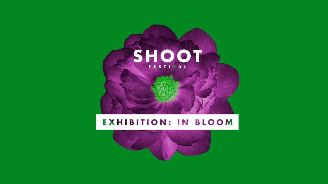 Exhibition: In Bloom Shoot Festival 2022 Access trailer