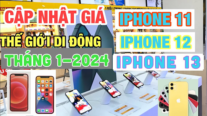 Iphone 11 bản quốc tế giá bao nhiêu năm 2024