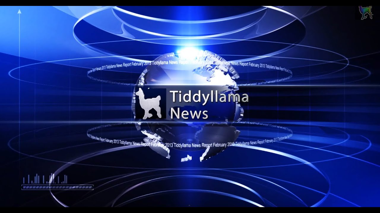 Tiddyllama News - February - Servers, schedules and Livestreams
