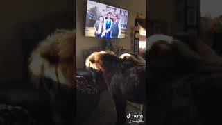 My Real Life Dog & Pony Show:  House edition