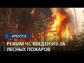 Режим ЧС из-за лесных пожаров введён в Усть-Кутском и Усть-Илимском районах