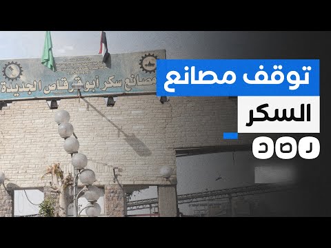 لماذا توقفت مصانع أبو قرقاص عن إنتاج السكر