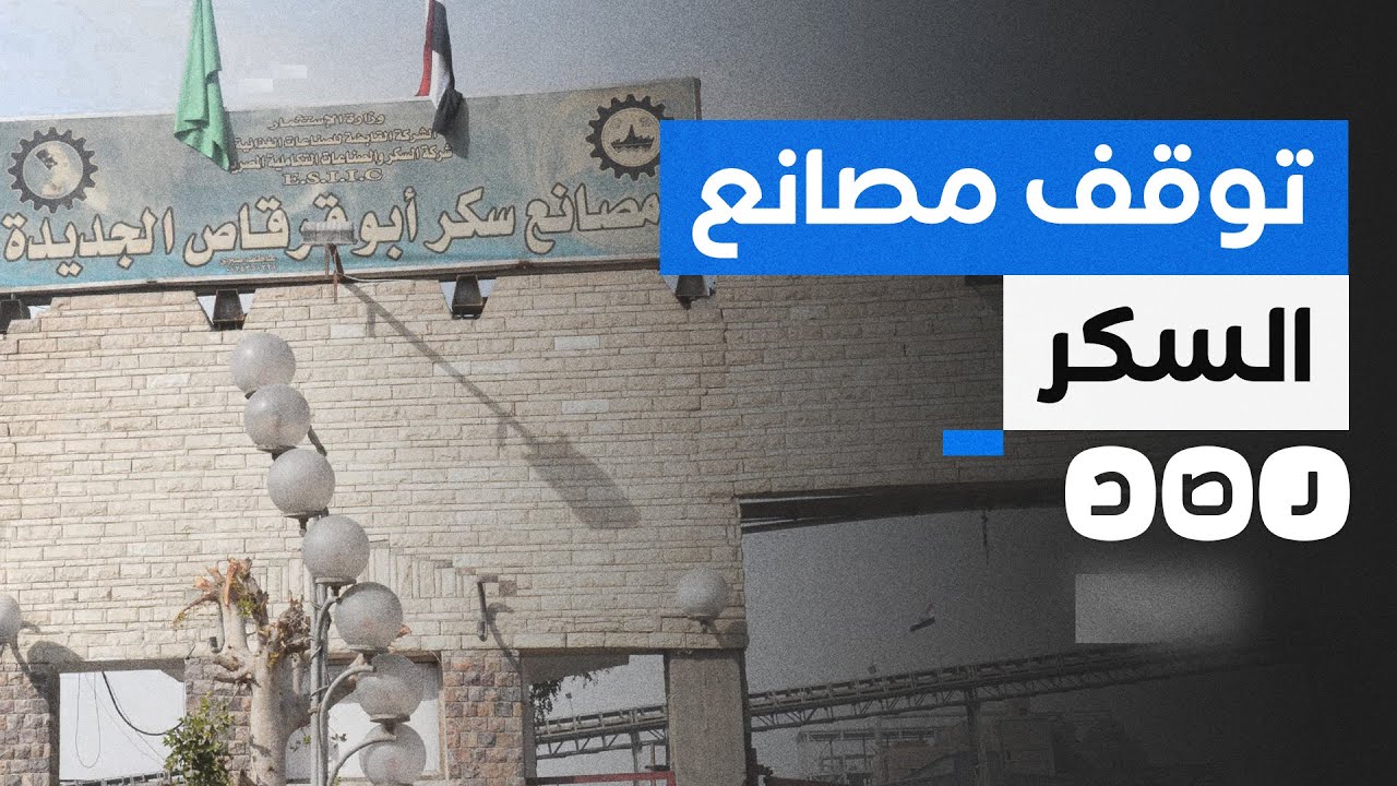 لماذا توقفت مصانع أبو قرقاص عن إنتاج السكر؟