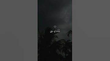 تلاوة هادئة تأخذك إلى عالم من الهدوء والسكينة بصوت الشيخ ماهر المعيقلي ♡ #ماهر_المعيقلي​ #قرآن 