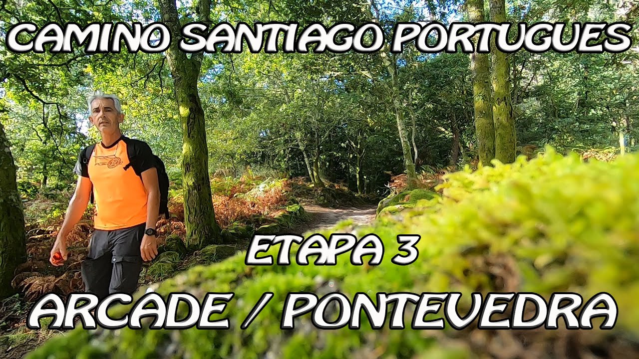 Santiago Compostela, camino Portugués, DIA 3/6 (ARCADE, PONTEVEDRA) 14 KM