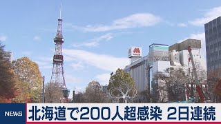 北海道 ２日連続200人超（2020年11月13日）