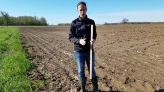 Regional Update: Southern Michigan with Stephanie Smith