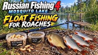 Russian Fishing 4, Mosquito Lake, Float Fishing for Roaches  | 9-29-26