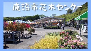 鹿沼市 花木センター 広くてきもちいいね Kanuma City Tochigi Prefecture Youtube