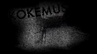 Kokemus