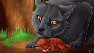 Warrior Cats (battle Scars)