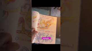 Otto der Oktopus 🐙 ein handgezeichnetes Kinderbuch