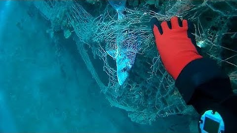 "Waste to wear" project makes clothes out of discarded fishing nets