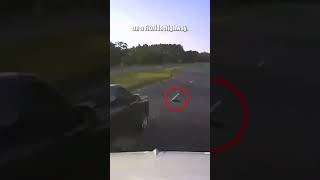 Florida Driver Stops for Turtle, Causes Chain Reaction of Crashes on U.S. 331 South