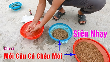 Bài Mồi Câu Cá Chép Mới Hồ Dịch Vụ ➣ Cá Chép Siêu Quấn Ổ, Đóng Cá Liên Tục