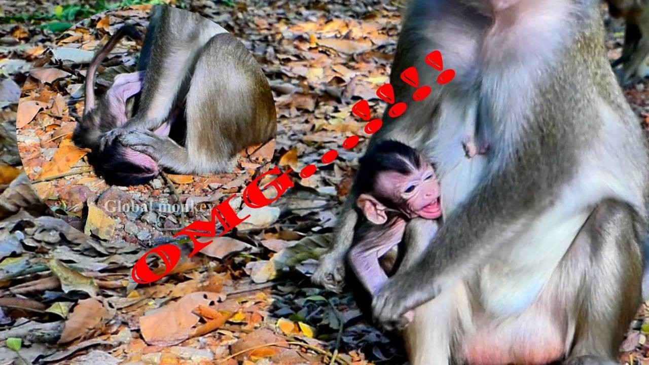 Can see that when Amina is hungry and needs milk, her mother must have something going on with her.