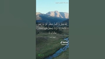 الله يعلم ما تحمل كل أنثى و ما تغيض الأرحام .. سورة #الرعد بتلاوة الشيخ #عبدالباسط_عبدالصمد
