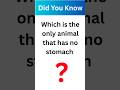Wait for End | Did You Know | Which is the only animal that has no stomach | Watch till End | Facts