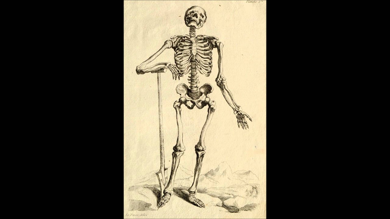Olivier Greif Le Mort Joyeux 1968 Youtube