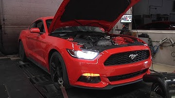 Exceladyne Mustang Ecoboost Cat-Back Exhaust With DB Levels and Dyno Run