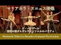 【厳選バレエ:ヌニェス特集】ラ・バヤデール:婚礼の場ガムザッティとソロルのパドドゥ| Best of Marianela Núñez's Gamzatti.