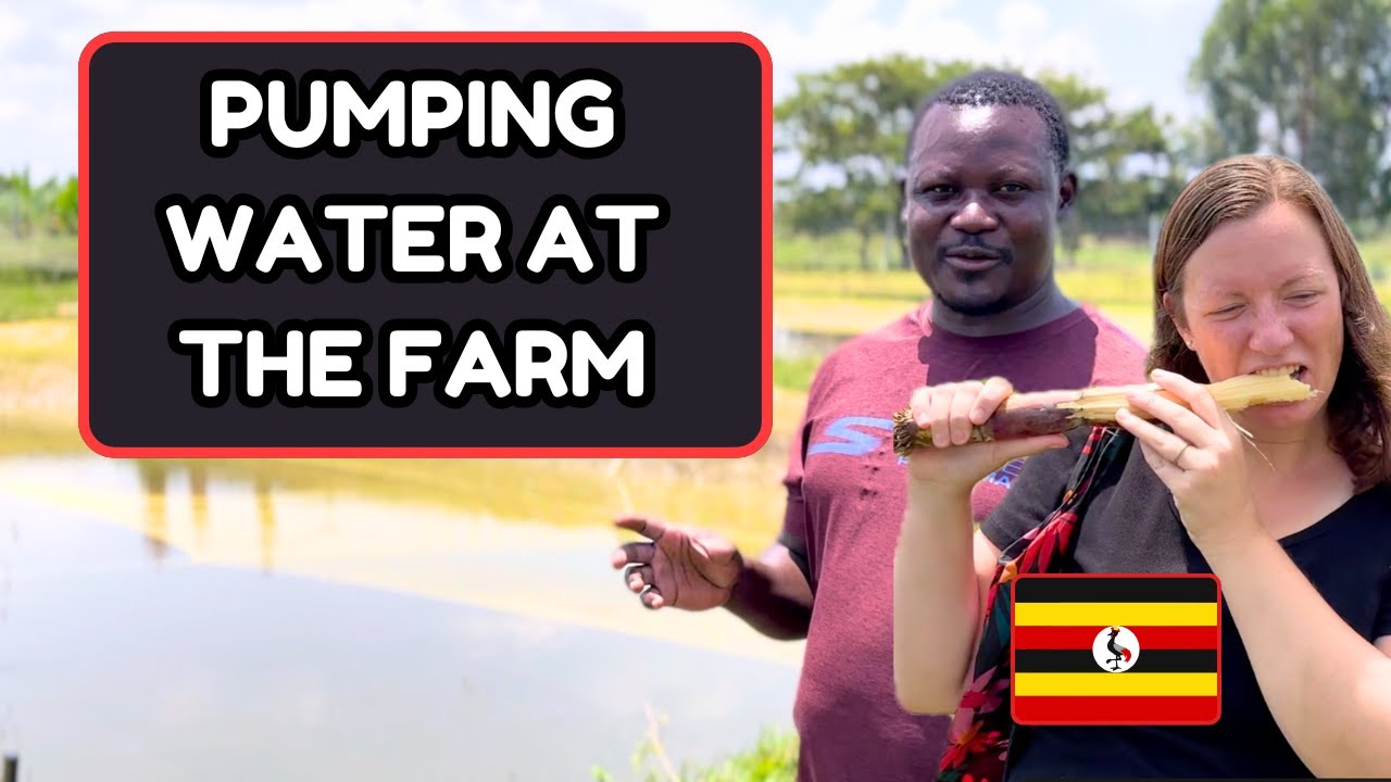 Fish Farming in Uganda | Daily Commute, Pond Plumbing, Pumping Water & Checking on Fish Count