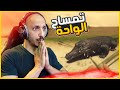نجوم الصحراء 6 اكتشاف واحة مليئة بالتماسيح Starsand 