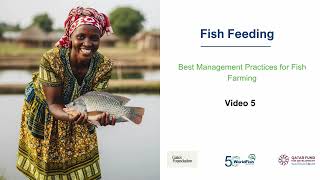 Fish Feeding
