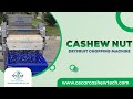 Cashew Nut Dryfruit Chopping Machine | Oscar Cashew Tech | Automatic Cashew Processing Machinery