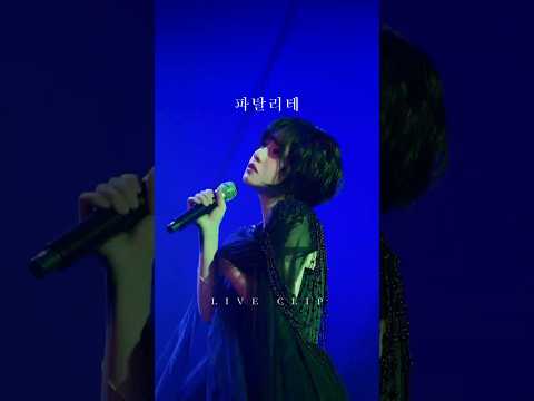가장 쉽게 시드는 것, 사랑 💔🥀@2023 심규선 단독 콘서트 '우리 앞의 세계' #심규선 #Lucia #파탈리테 #fatalité #심규선콘서트