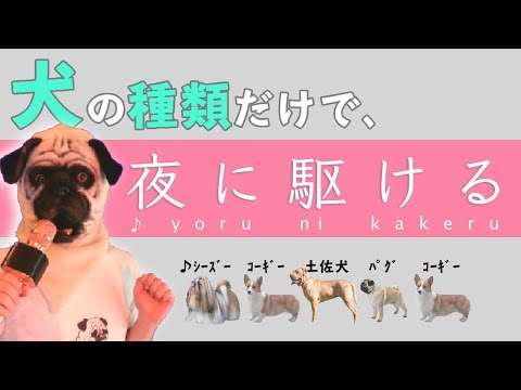 【替え歌】犬の種類だけで「夜に駆ける」歌えるのか!?