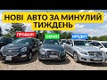 Нові поступлення авто! Продаж авто з Європи та США. Авторинок Івано - Франківськ. Авторинок України.