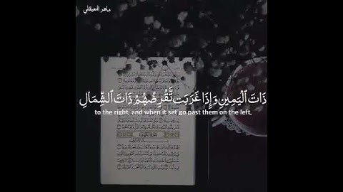 تلاوة جميلة🍃من سورة🍀 (الكهف)💛للشيخ❤ماهر (المعيقلي)🍁