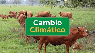 CAMBIO CLIMÁTICO