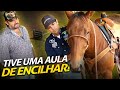 APRENDI A ENCILHAR O CAVALO DO JEITO CERTO! | A CASA DOS BICHOS