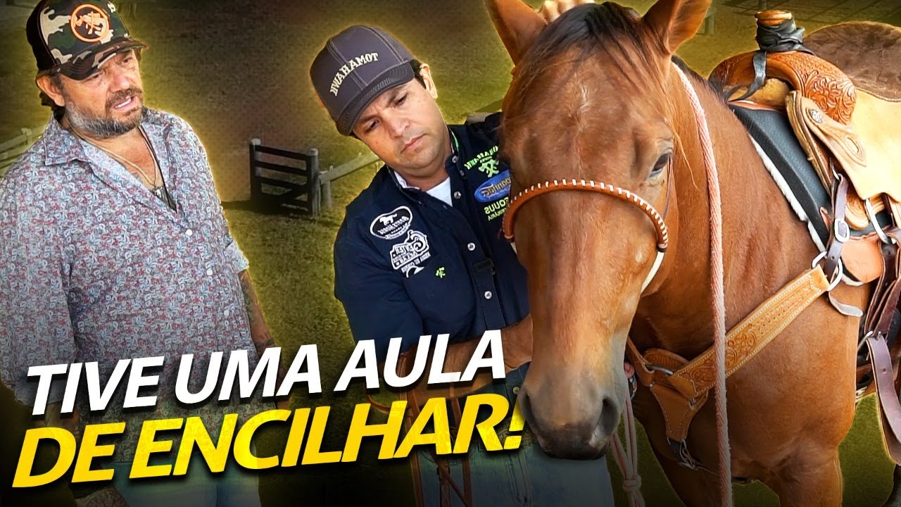 APRENDI A ENCILHAR O CAVALO DO JEITO CERTO! | A CASA DOS BICHOS