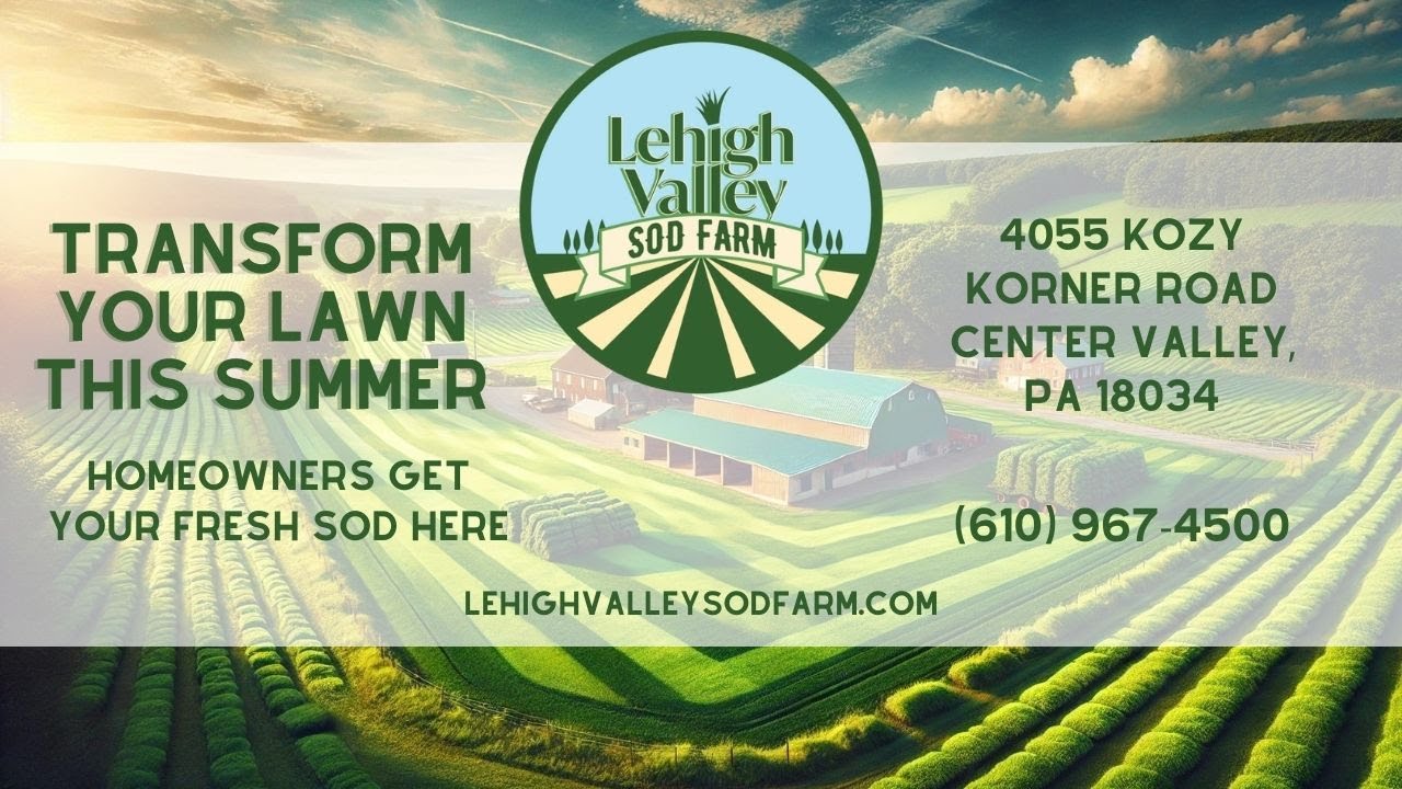 🌿 Where To Buy Sod Near Easton Find The Best Local Suppliers YouTube