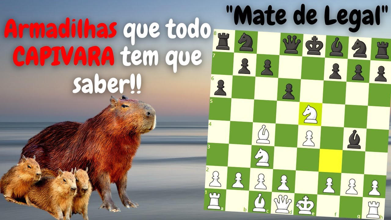 Capivara ou Xadrez