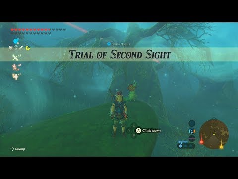 How To Complete The Trial Of Second Sight Shrine Quest In BotW