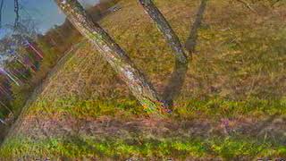 PICT0054