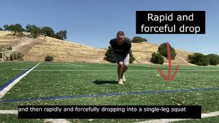 CMJ Vertical Hop and Stick