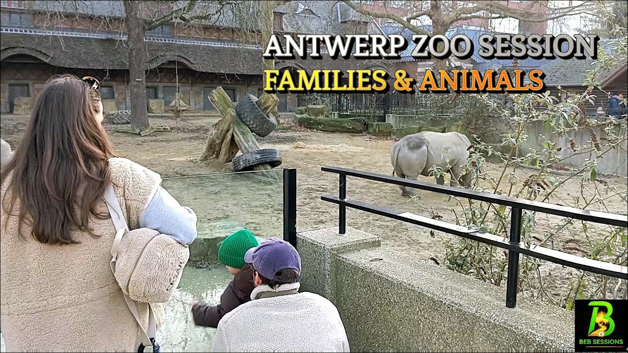 Antwerp Zoo SESSION – Busy Afternoon Among Families & Animals