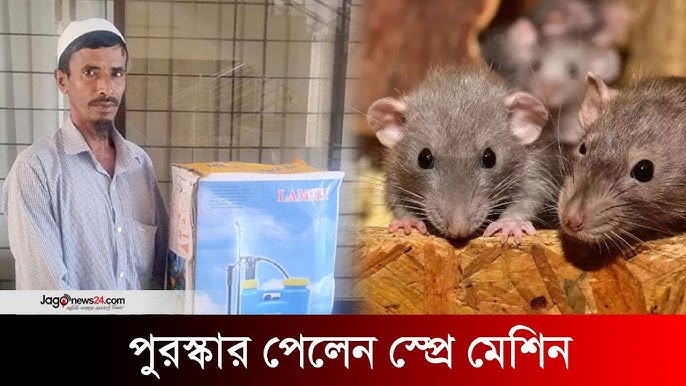 Dal vrot telefonda suratga oldi