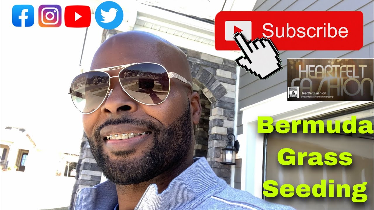 How To Plant BERMUDA SEED YouTube how-to-plant-bermuda-seed-youtube