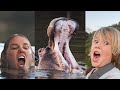 WHO DID IT BEST?? HIPPO SOUNDS with KIDS
