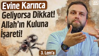 Evine Karınca Geliyorsa Dikkat! Allah’ın Kuluna İşareti! - Lemalar - 3. Lema | Fatih Ünal