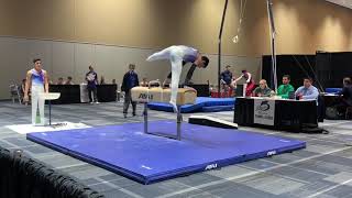 Tyler Selvaggi Regional Technical Sequences 2019