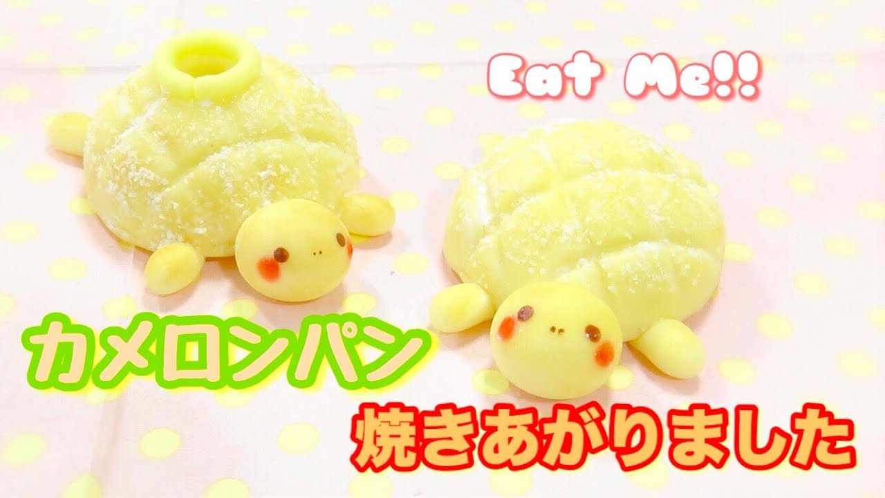 正規品の販売 ミニチュアカメホイップパン 【公式通販】
